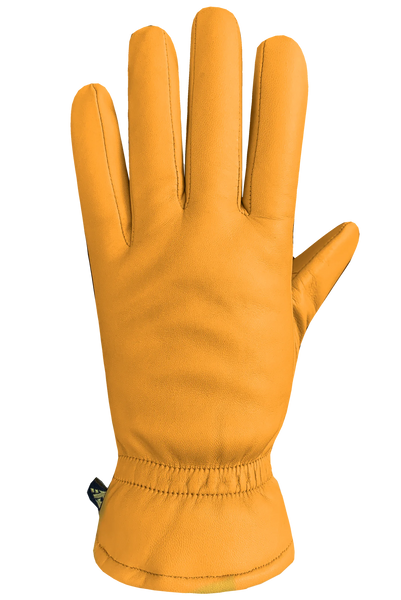 Demi Glove