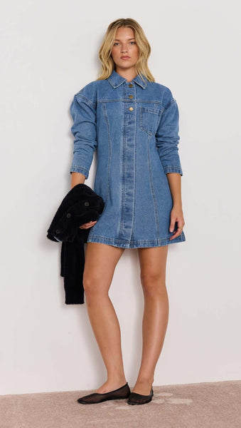 Tully Denim Mini Dress