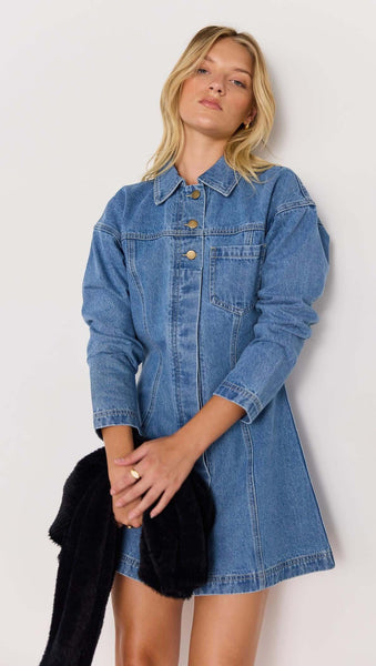 Tully Denim Mini Dress