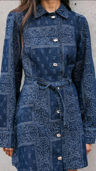 Delphi Jacquard Denim Dress